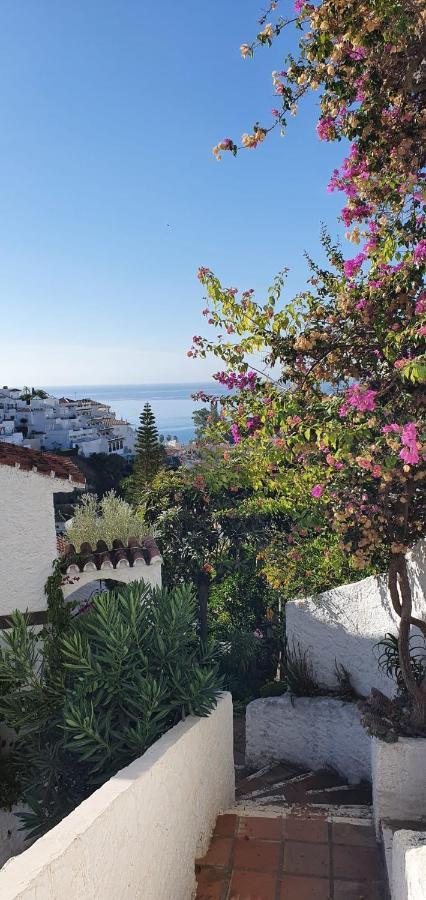 AP339 Alhama-La Oliva Nerja Exterior foto